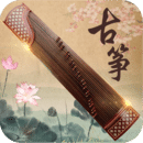 女士袜子用英语怎么说